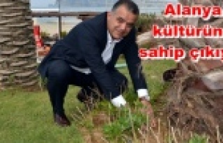 Alanya’nın parklarına su kabağı ektiler