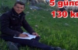 Araştırması için Alanya yaylalarında çoban oldu