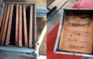 Arı kovanı hırsızı yakayı ele verdi