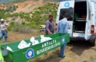 Baraj altında kalacak 30 mezar nakledildi