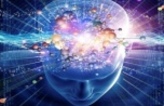 Çocuğumuzun zeka seviyesini nasıl arttırırız?