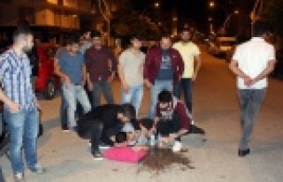 Ginger'den düşen genç yaralandı