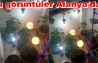 Jandarmayı şaşkına çeviren uyuşturucu baskını