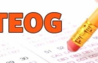 TEOG sonuçları açıklandı
