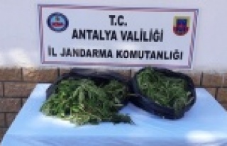 10 kilogram esrar ele geçirildi