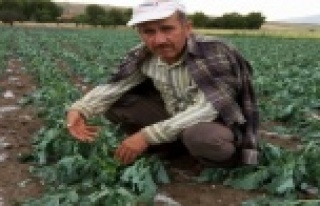 Alanya 40 derece, Korkuteli'nde dolu yağıyor