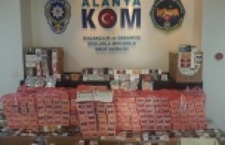 Alanya'da 'Duman1' operasyonu yapıldı