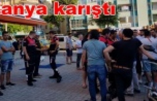 Kedi köpek tartışması bıçaklı saldırıya dönüştü