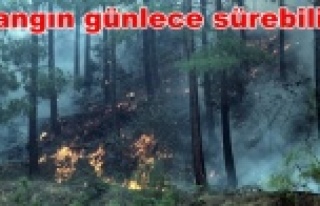 Korkutan yangın evlere sıçradı