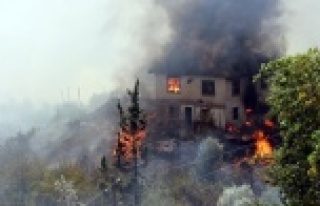 Orman yangınlarında en hassas dönem