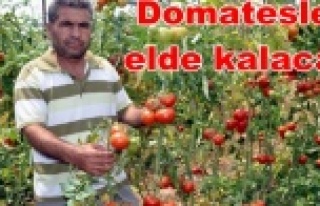 Rusya'dan çiftçiye kötü haber