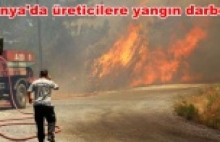 Yangın tarım alanlarını da yaktı