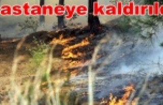 Yangından kötü haber geldi: Orman şefi de yandı