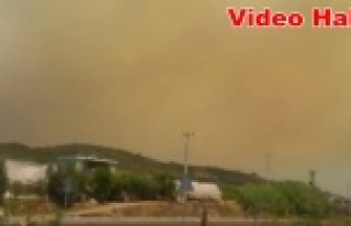 Yangının dumanı bölgeyi sardı