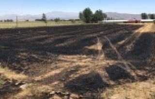 12 dönüm tarım arazisi yanarak küle döndü