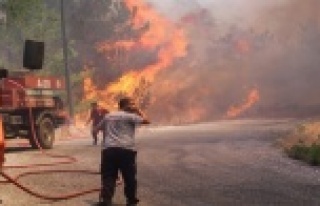 AEDAŞ'tan Sapadere yangını açıklaması