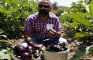 Alanya'da insanlık ölmemiş dedirten olay