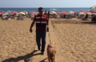 Alanya'da plajlarda güvenlik önlemi artırıldı