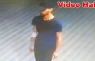 Alanya'daki oto faresi kameralara yakalandı