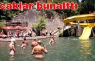 Alanyalı deniz ve Dimçayı'na koşuyor