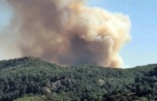 Antalya'da yangınlar durmuyor: Bir orman yangını...
