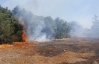 Çalılık alanda yangın: Müdahale devam ediyor