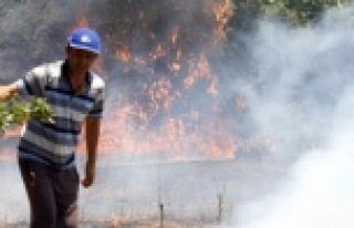 Çalılık yangını kontrol altına alındı: 5 ev...