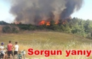 Makilik alanda yangın çıktı