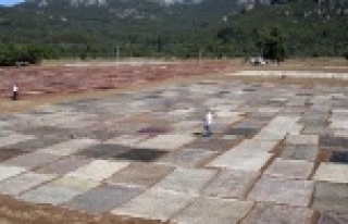 Milyonluk halı ve kilim tarlası