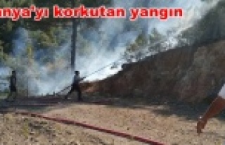 Muhtar Alanya'daki yangını anlattı: Allah...