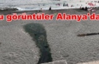 Sahillerdeki lağımlar vatandaşı isyan ettirdi