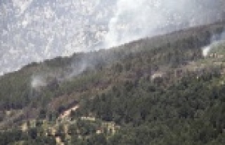 Sapadere yangını kontrol altında