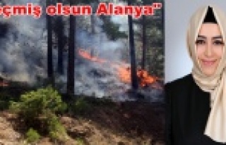 Sena Nur Çelik'den Sapadere yangını açıklaması