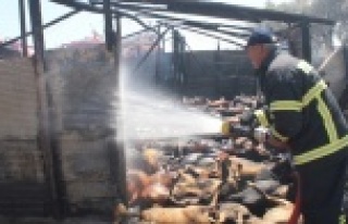 Yangında 550 hayvan telef oldu