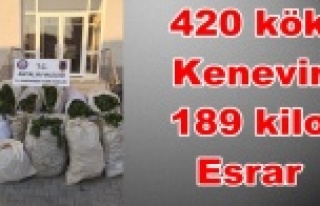 Alanya'da flaş uyuşturucu operasyonu