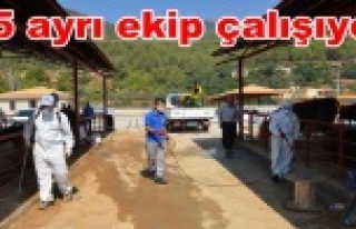 Alanya'da kurban pazarları ilaçlanıyor