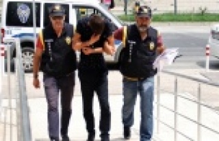 Alanya'daki oto faresi yakalandı