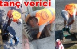 Alanya'nın giderlerinden çıkanlar şok etti!