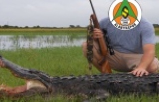 Alanyaspor timsah avına çıkıyor