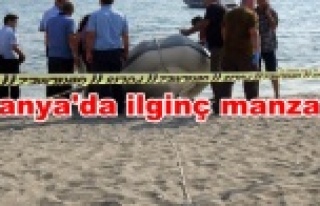 Cesede aldırmayan tatilciler yüzmeye devam etti