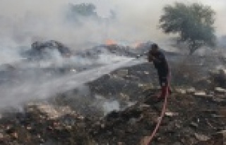 Çöp yangını palmiye ağaçlarını kül etti