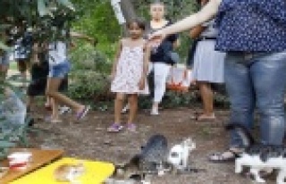 'Kedi katliamına’ site sakinlerinden tepki