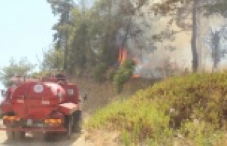 Komşumuz Manavgat'ta yangın paniği