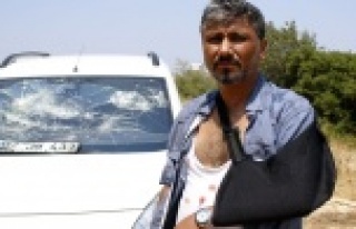 Köpeği aracıyla ezen şoförden özür