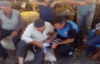 Kurbanlık alırken kazıklanmayın