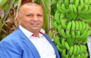 Manavgat muzda marka olma yolunda