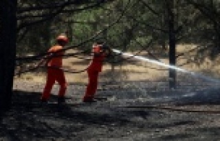 Milli park yakınlarında orman yangını