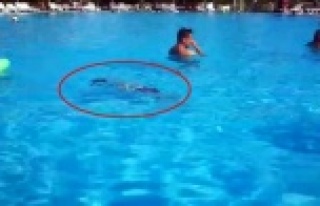 Minik Atakan, onlarca tatilcinin gözleri önünde...