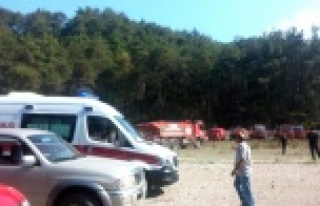 Ormanlık alanda yangın çıktı