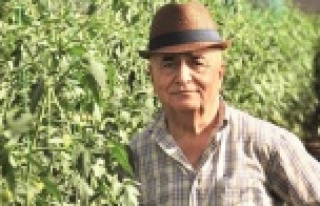 Savcıdan o otelciye tesettür soruşturması